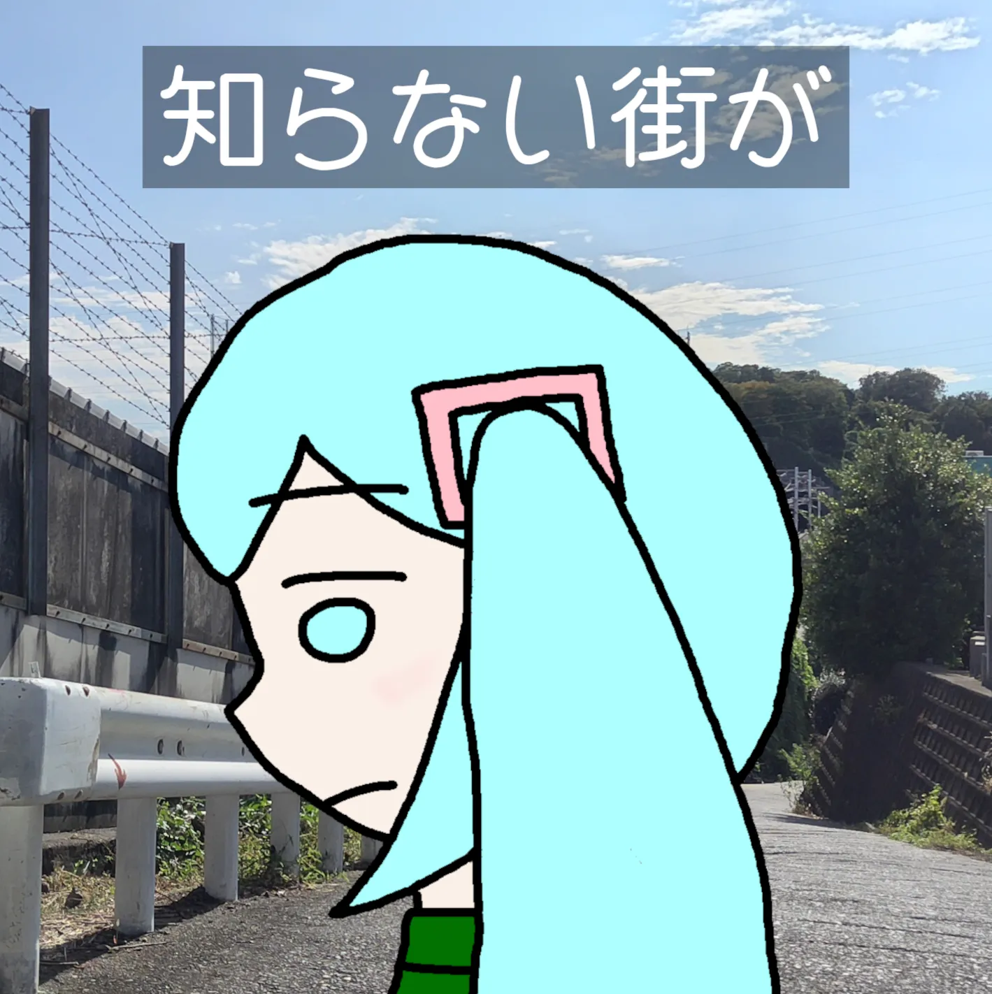 知らない街が　ジャケット